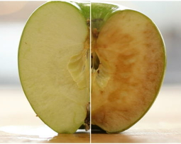 Video: Který antioxidant nejúčinněji zpomaluje stárnutí?
