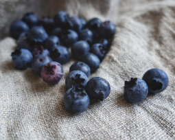 Které přírodní antioxidanty byste rozhodně neměli minout?
